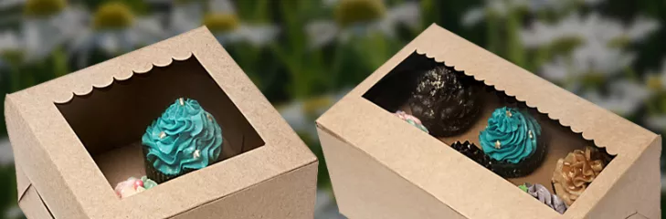 cupcake boxes wholesale
