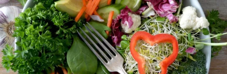 Weight Loss Diet Plan