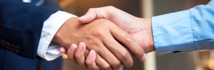 limited company insurance