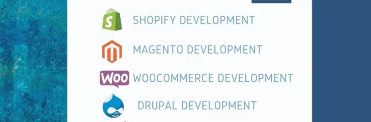 ecommerce web development