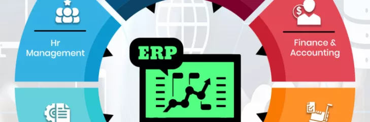 ERP Development Company