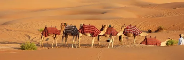 Evening Desert Safari in Dubai