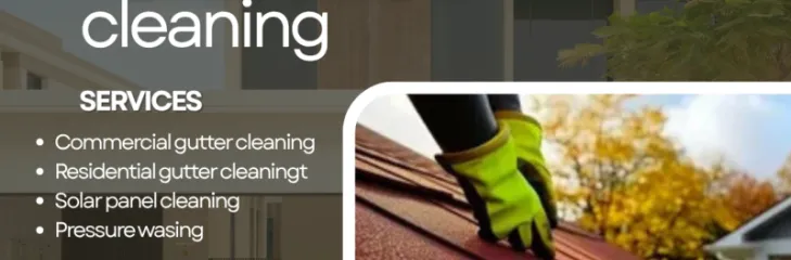 Gutter Cleaning 