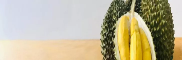 Durian Delivery