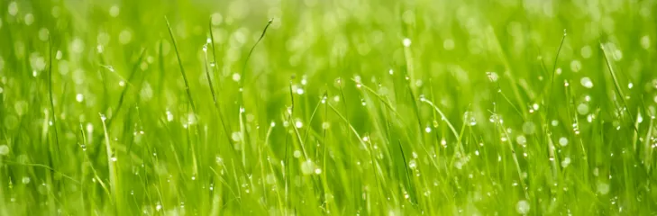 Sprinklers