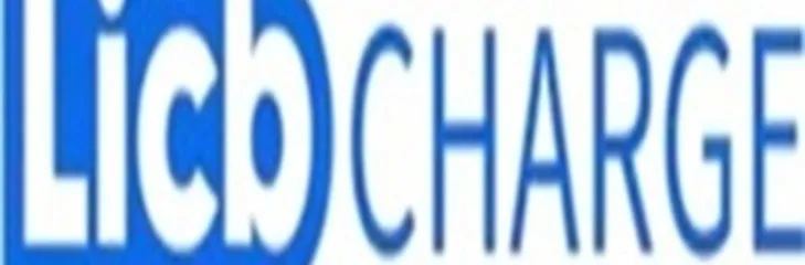 China LiCB AC DC EV Charger Co., Ltd