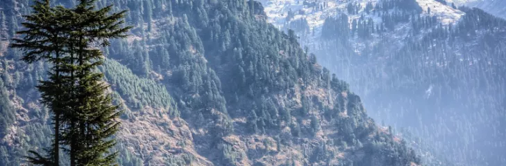 shimla manali tour from rajkot