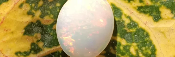 Buy Moonstone online