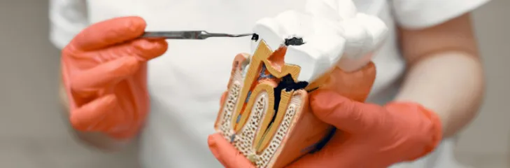 Dental Services