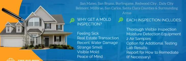 Santa Clara Mold Inspection & Testing Services