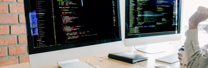 Website development