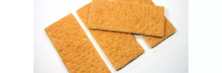 Why Were Graham Crackers Invented?