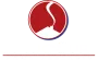 strucsure