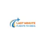 Last Minute Flights To India 