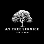 ct tree services