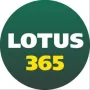 Live Sports & Casino Platform