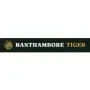 Ranthambore Tiger
