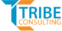 Tribe Consulting provides reliable call center services in USA, Pakistan & UAE, including inbound, outbound, customer support, sales, lead generation and 24/7 BPO solutions.