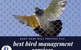 birds control providers