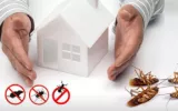 Pest Control Services  Awesomepest