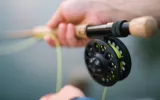 Fishing Guide 101: Basic fishing equipment for beginners
