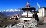 View of Mustang