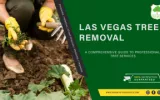 Las Vegas Tree Removal