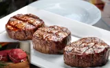 wholesale bison meat