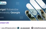 Grigol Robakidze University