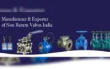 Axegic Group Inc