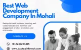 Web Development Services
