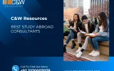 Study Abroad Consultant
