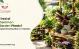 Boutique Nursery In Bangalore