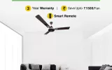 ceiling fan