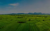 Residential Plots In Hubli