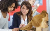 Best Cosmetology Training