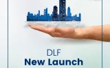 DLF Andheri