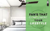BLDC Motor Fan