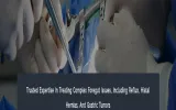 Foregut Surgery Specialist