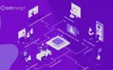 hybrid app developers