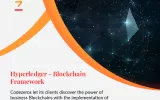 Blockchain Development Hyperledger Platforms