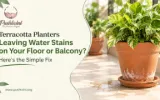 outdoor large terracotta planters Zirakpur