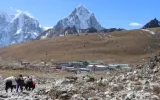 Everest Lobuche