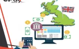 Online payment providers that can offer multiple modes of payment.