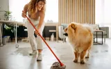 Pet-Safe Floor Cleaners Keep Your Floors Clean and Pets Protected