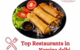 Best Restaurants in Naraina delhi