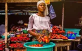 The Intricacies of the African Economy