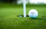 artificial grass dubai