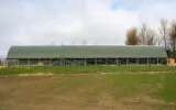 Using Lambing Sheds to Create Optimal Environments for Healthy Lamb Development