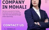 SEO company in Mohali